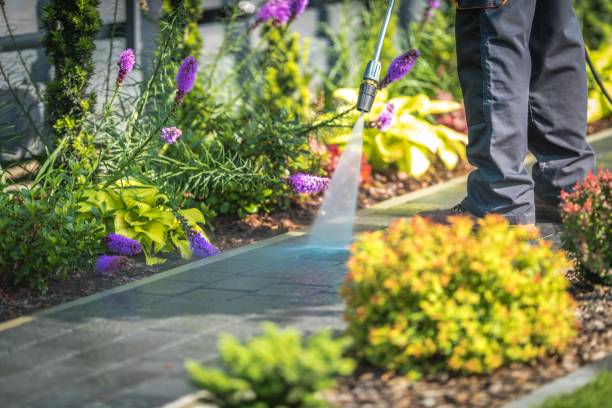 Professional Pressure Washing Services in Fort Payne, AL